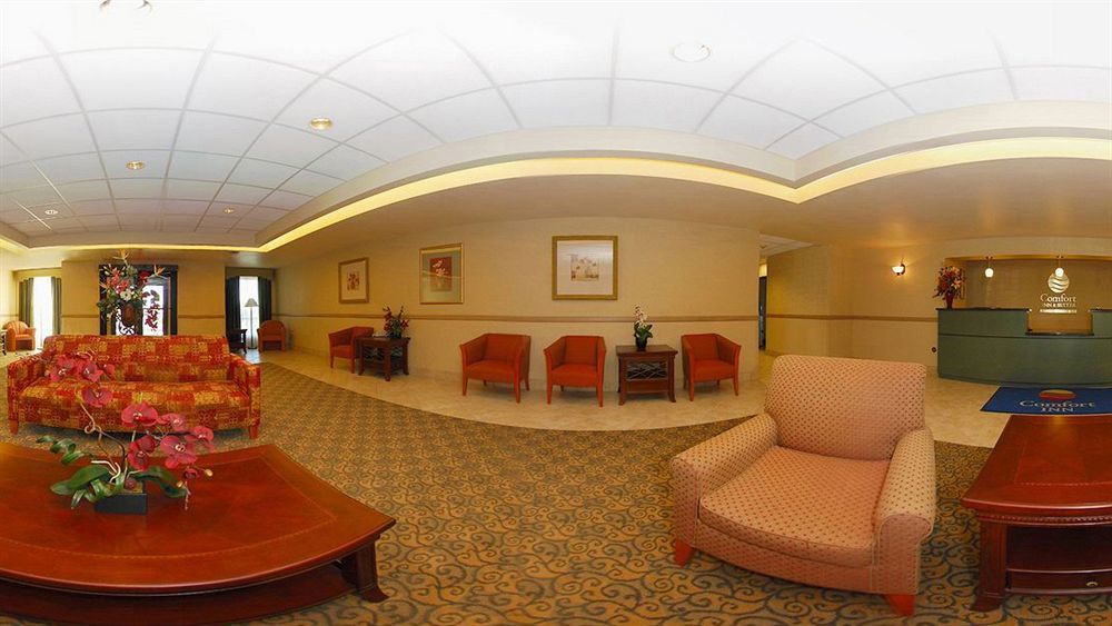 Comfort Inn And Suites Yuma I-8 Esterno foto